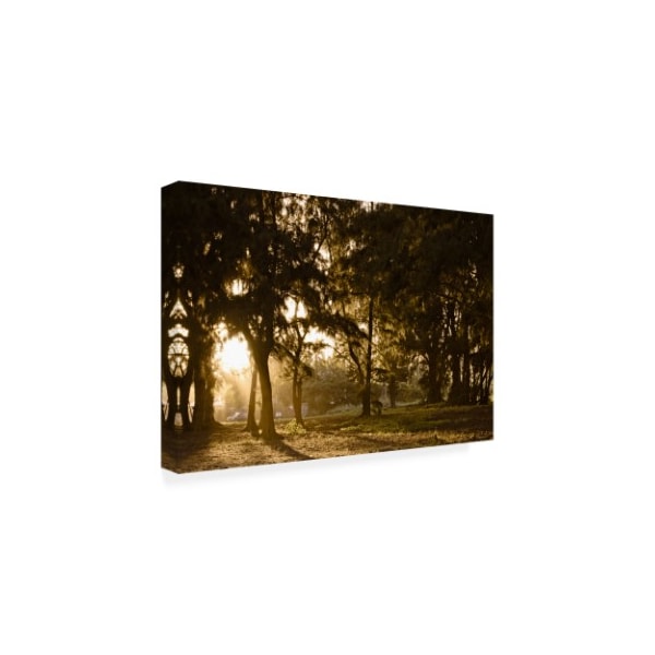 Chuck Burdick 'Daybreak Tree Coverage' Canvas Art,16x24